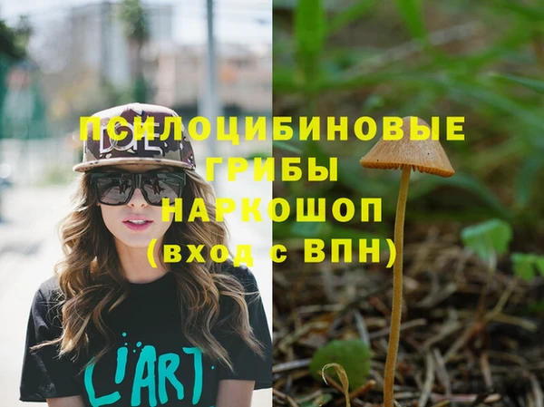 МДПВ Алексин